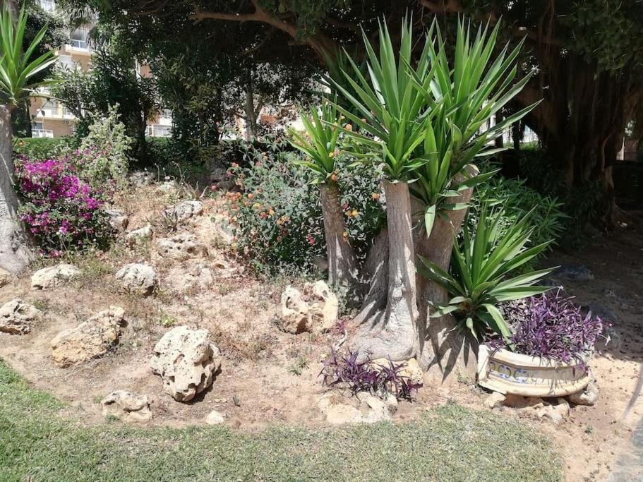 Acogedor,Apartamento.Piscina, Vistas, Terraza Benalmádena Buitenkant foto